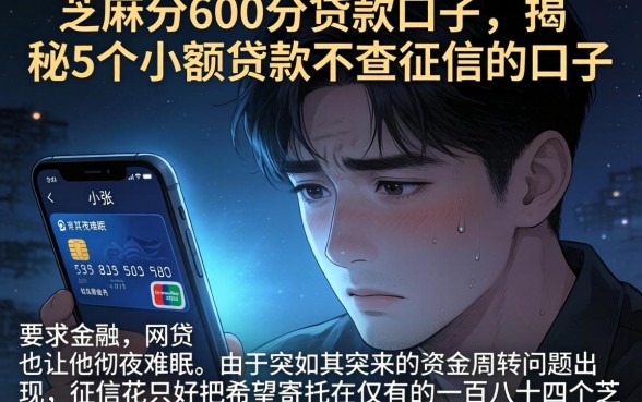 芝麻分600分贷款口子，揭秘5个小额贷款不查征信的口子