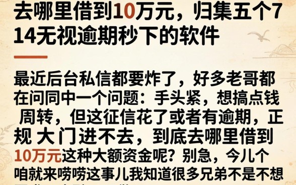 去哪里借到10万元,归集五个714无视逾期秒下的软件