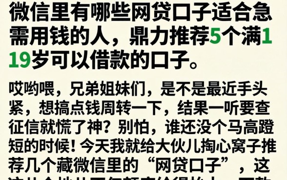 微信里有哪些网贷口子适合急需用钱的人，鼎力推荐5个满19岁可以借款的口子