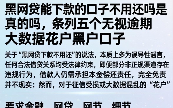 黑网贷能下款的口子不用还吗是真的吗,条列五个无视逾期大数据花户黑户口子