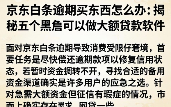 京东白条逾期买东西怎么办，揭秘五个黑户可以做大额贷款软件