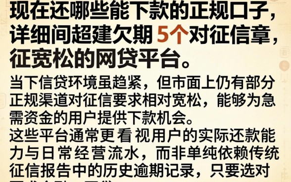 现在还哪些能下款的正规口子，详细阐述5个对征信宽松的网贷平台