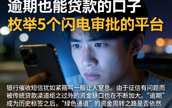 逾期也能贷款的口子，枚举5个闪电审批的平台