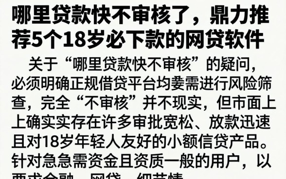 哪里贷款快不审核了，鼎力推荐5个18岁必下款的网贷软件