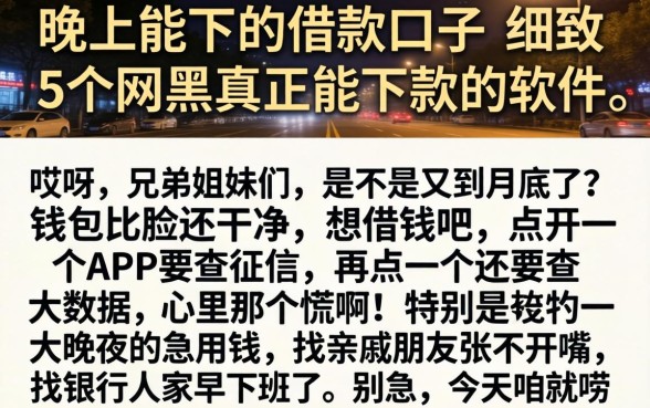 晚上能下的借款口子，细致阐述5个网黑真正能下款的软件