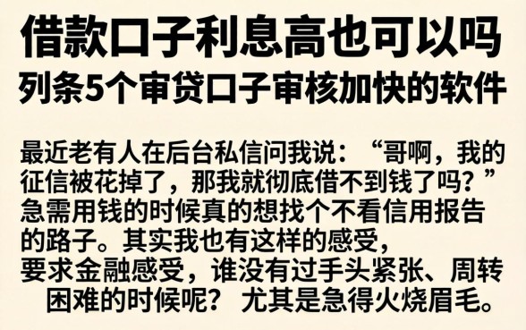 借款口子利息高也可以吗，条列5个审贷口子审核加快的软件