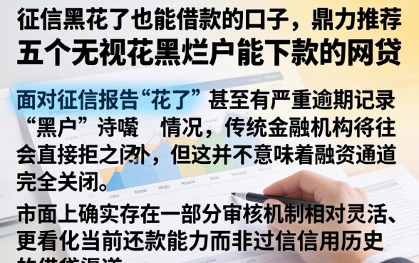 征信黑花了也能借款的口子，鼎力推荐五个无视花黑烂户能下款的网贷