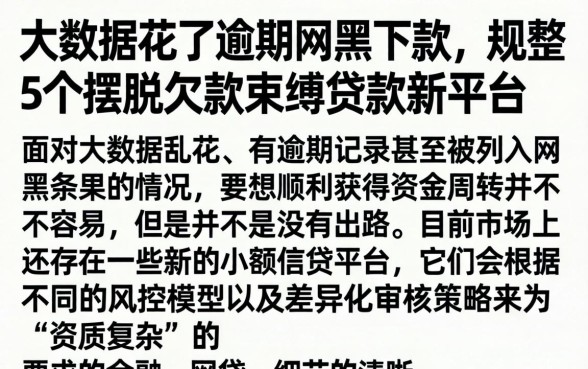 大数据花了逾期网黑下款，规整5个摆脱欠款束缚贷款新平台