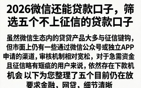 2026微信还能贷款口子，筛选五个不上征信的贷款口子