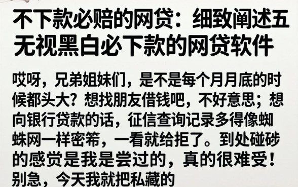 不下款必赔的网贷，细致阐述五个无视黑白必下款的网贷软件