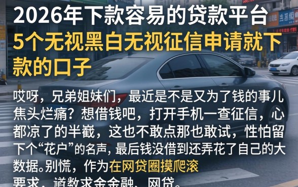 2026年下款容易的贷款平台,概括5个无视黑白无视征信申请就下款的口子