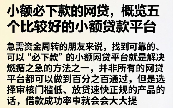小额必下款的网贷,概览五个比较好的小额贷款平台