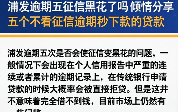 浦发逾期五征信黑花了吗，倾情分享五个不看征信逾期秒下款的贷款