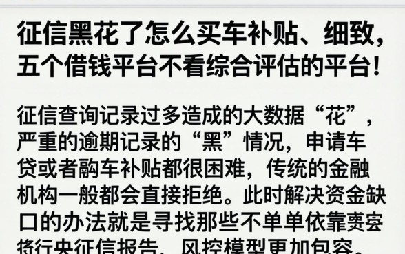 征信黑花了怎么买车补贴，细致阐述五个借钱平台不看综合评估的平台