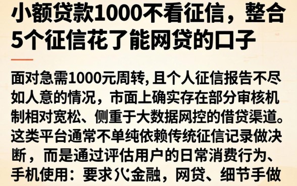 小额贷款1000不看征信,整合5个征信花了能网贷的口子