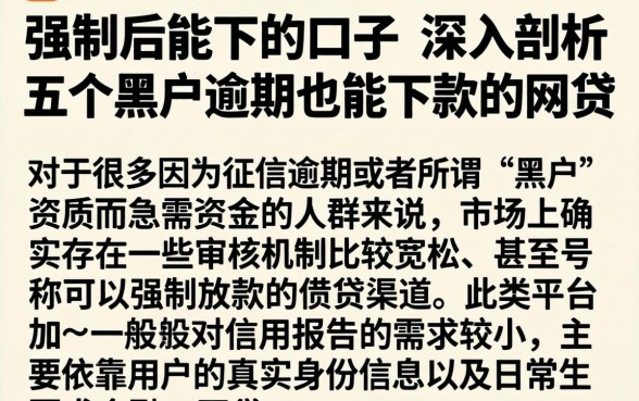 强制后能下的口子，深入剖析五个黑户逾期也能下款的网贷