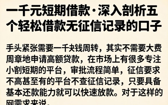 一千元短期借款，深入剖析五个轻松借款无征信记录的口子