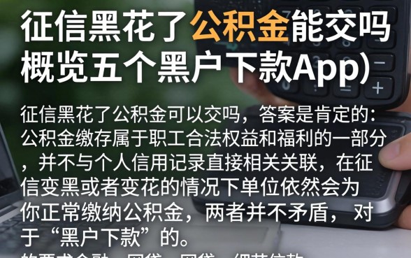 征信黑花了公积金能交吗，概览五个黑户下款app