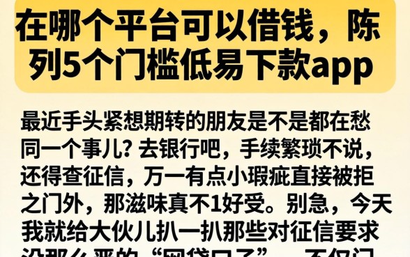 在哪个平台可以借钱，陈列5个门槛低易下款app