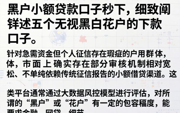 黑户小额贷款口子秒下，细致阐述五个无视黑白花户的下款口子