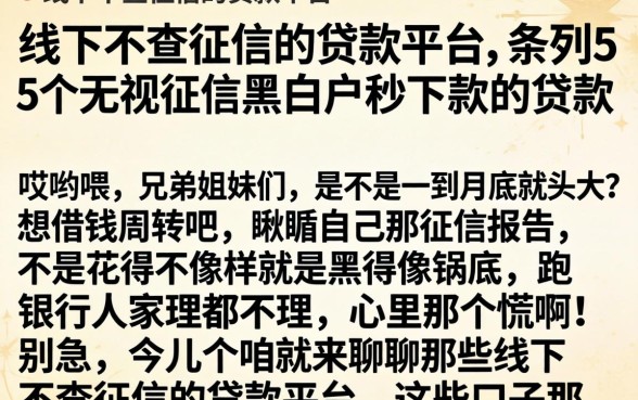 线下不查征信的贷款平台,条列5个无视征信黑白户秒下款的贷款