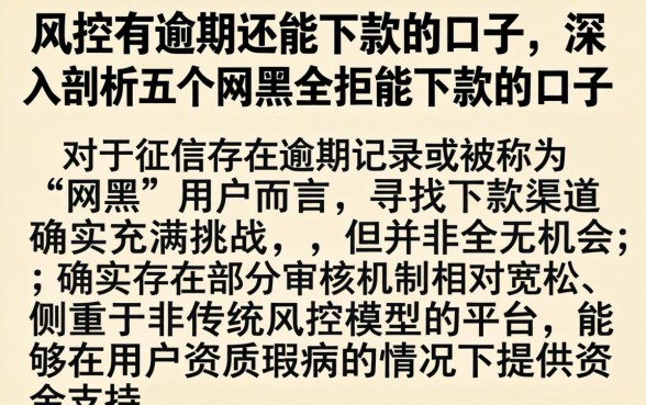 风控有逾期还能下款的口子，深入剖析五个网黑全拒能下款的口子