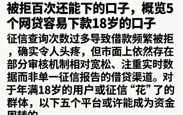被拒百次还能下的口子，概览5个网贷容易下款18岁的口子