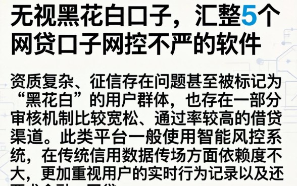 无视黑花白的口子，汇整5个网贷口子风控不严的软件
