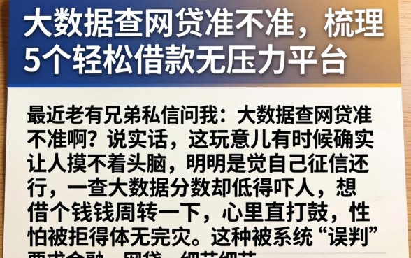 大数据查网贷准不准，梳理5个轻松借款无压力平台