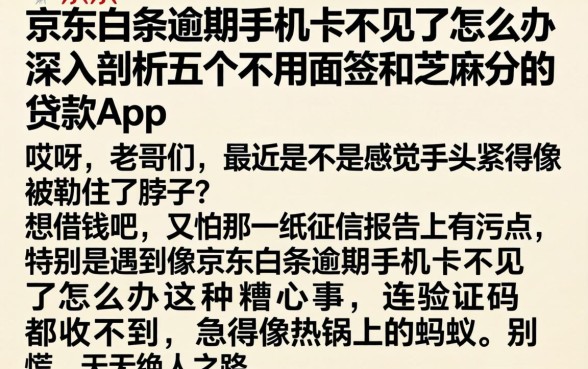 京东白条逾期手机卡不见了怎么办，深入剖析五个不用面签和芝麻分的贷款app