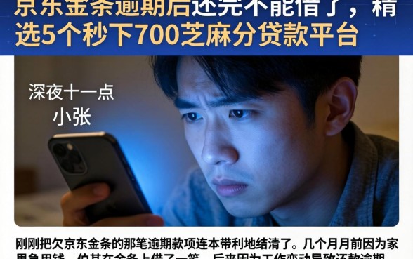 京东金条逾期后还完不能借了，精选5个秒下700芝麻分贷款平台
