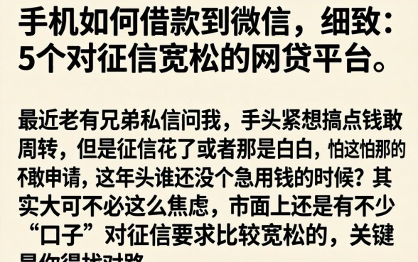 手机如何借款到微信，细致阐述5个对征信宽松的网贷平台