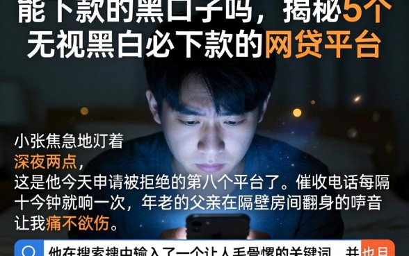 能下款的黑口子吗，揭秘5个无视黑白必下款的网贷平台