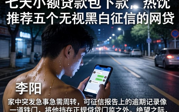 七天小额贷款包下款，热忱推荐五个无视黑白征信的网贷