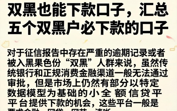 双黑的也能下款口子，汇总五个双黑户必下款的口子