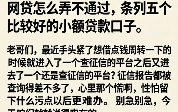 网贷怎么弄不通过，条列五个比较好的小额贷款口子