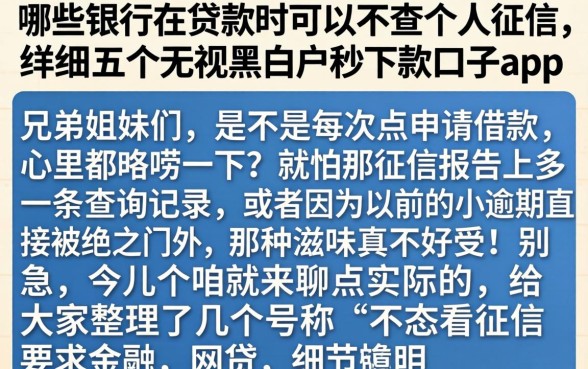 哪些银行在贷款时可以不查个人征信，详尽说明五个无视黑白户秒下款口子app