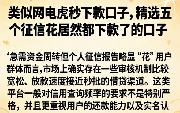 类似闪电虎秒下款的口子，精选五个征信花居然都下款了的口子