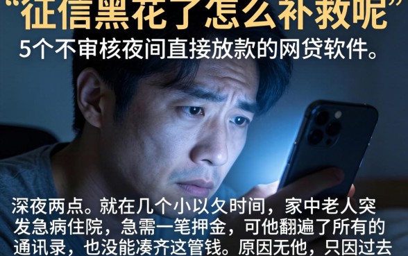 征信黑花了怎么补救呢，详细阐述5个不审核夜间直接放款的网贷软件