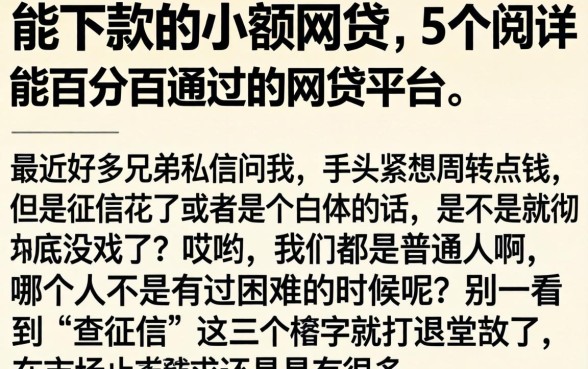 能下款的小额网贷，详细阐述5个能百分百通过的网贷平台