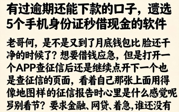 有过逾期还能下款的口子，遴选5个手机身份证秒借现金的软件