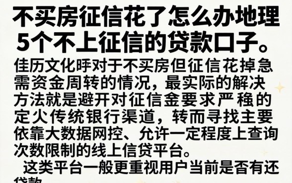 不买房征信花了怎么办理,细致阐述5个不上征信的贷款口子