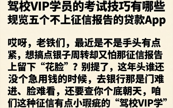 驾校VIP学员的考试技巧有哪些，概览五个不上征信报告的贷款app