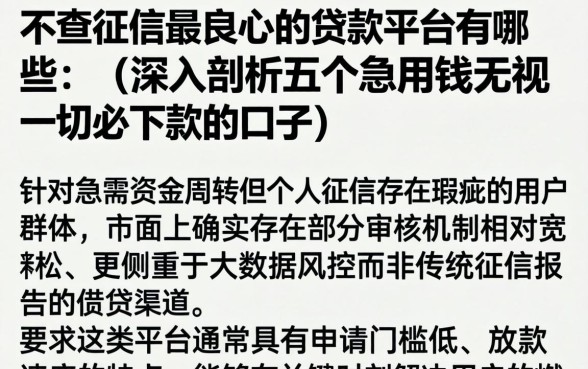 不查征信最良心的贷款平台有哪些，深入剖析五个急用钱无视一切必下款的口子