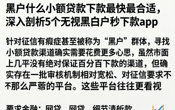 黑户什么小额贷款下款最快最合适，深入剖析5个无视黑白户秒下款app