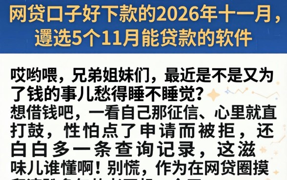 网贷口子好下款的2026年十一月，遴选5个11月能贷款的软件