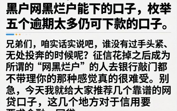黑户网黑烂户能下的口子，枚举五个逾期太多仍可下款的口子