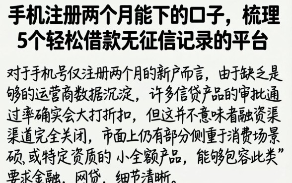 手机注册两个月能下的口子，梳理5个轻松借款无征信记录的平台