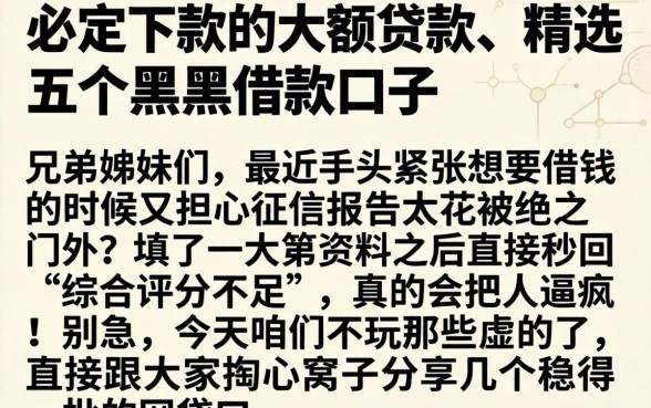 必定下款的大额贷款，精选五个黑户借款口子