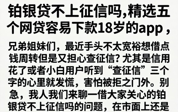 铂银贷不上征信吗，精选五个网贷容易下款18岁的app